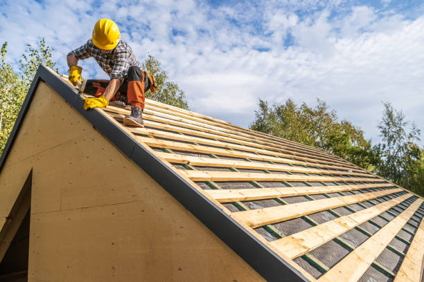 Best Roof Gutter Cleaning  in Valley View, OH